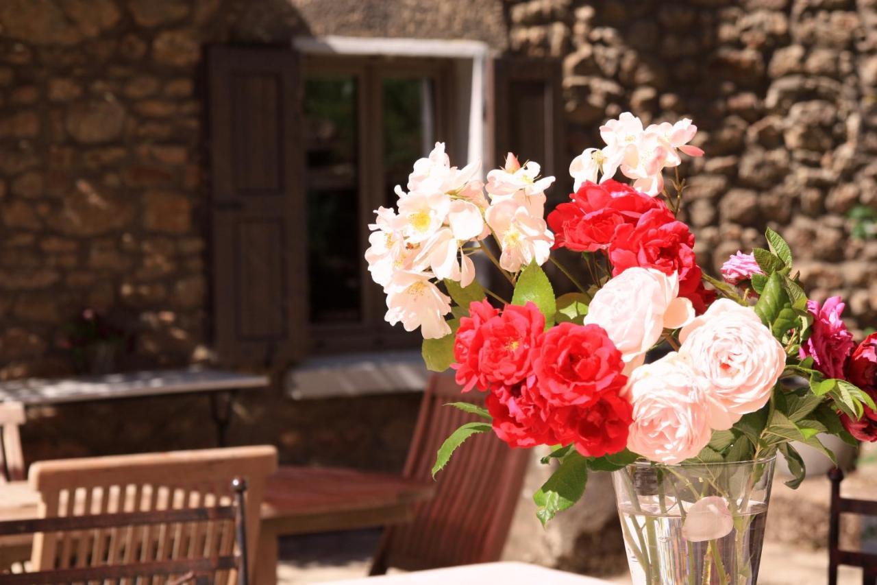 Bed and Breakfast Un Jardin Secret Yzeron Экстерьер фото