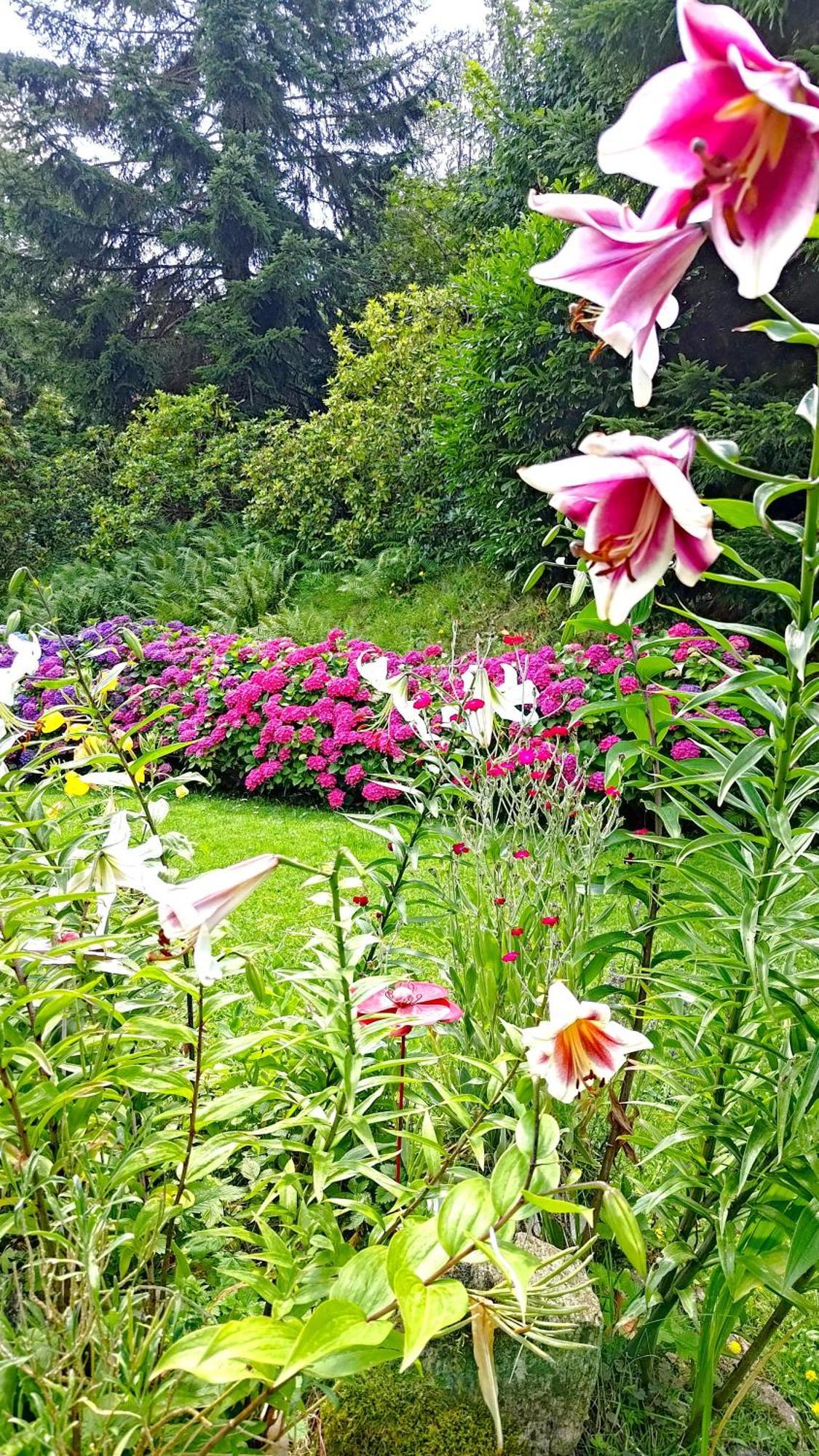 Bed and Breakfast Un Jardin Secret Yzeron Экстерьер фото