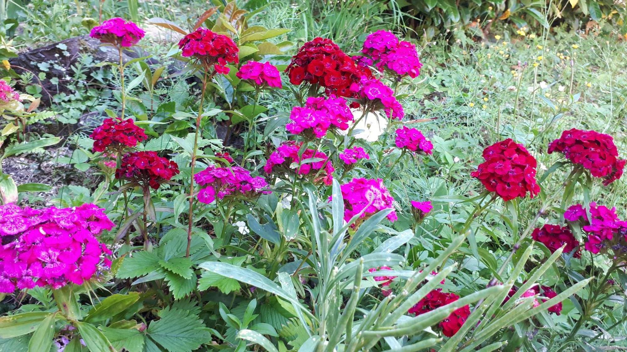 Bed and Breakfast Un Jardin Secret Yzeron Экстерьер фото