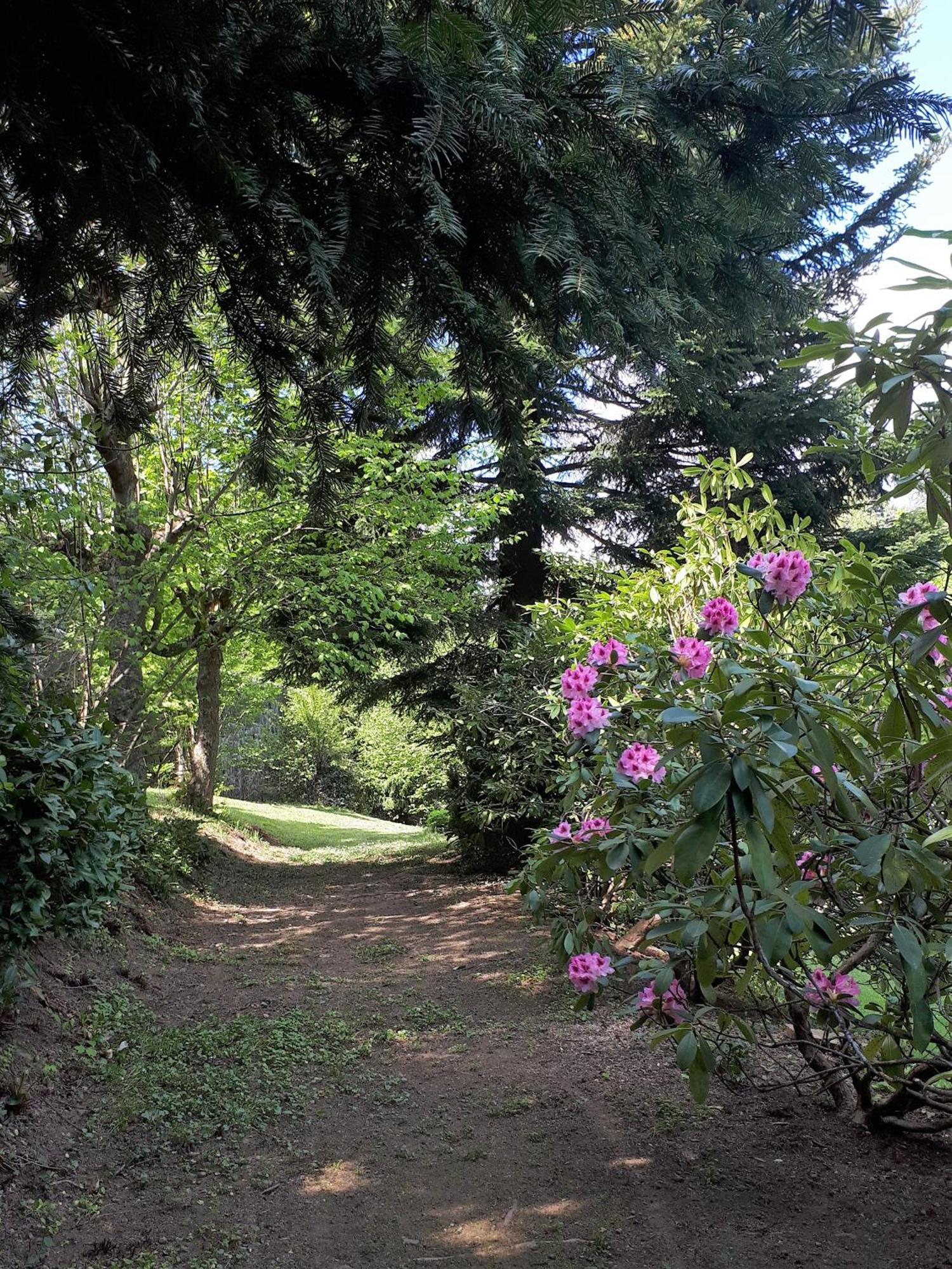 Bed and Breakfast Un Jardin Secret Yzeron Экстерьер фото